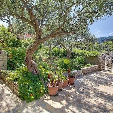 Studio Fur 3 Personen Ca 42 Qm In Veli Losinj, Kvarner Bucht Losinj *